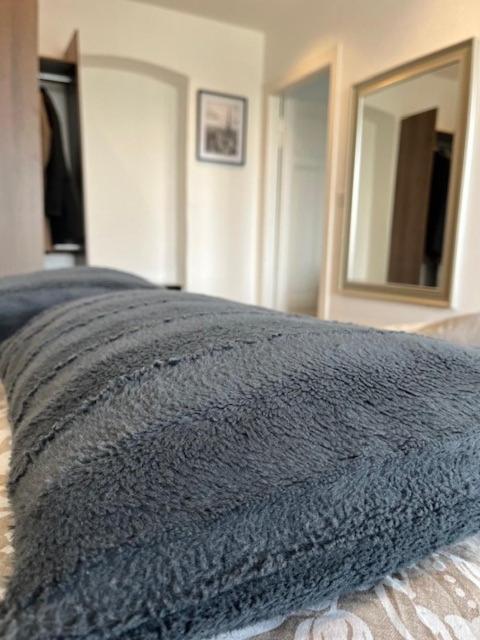 Apartmán Cosy Rent Strasbourg Orangerie Tv Wifi Cathedrale Exteriér fotografie