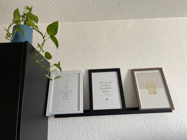 Apartmán Cosy Rent Strasbourg Orangerie Tv Wifi Cathedrale Exteriér fotografie